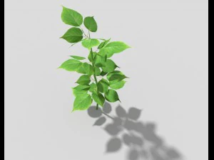 planta de baixo poli Modelo 3D