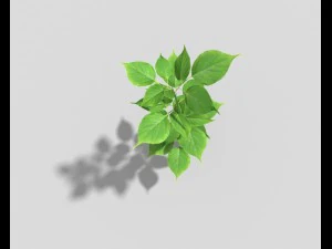 planta de baixo poli Modelo 3D