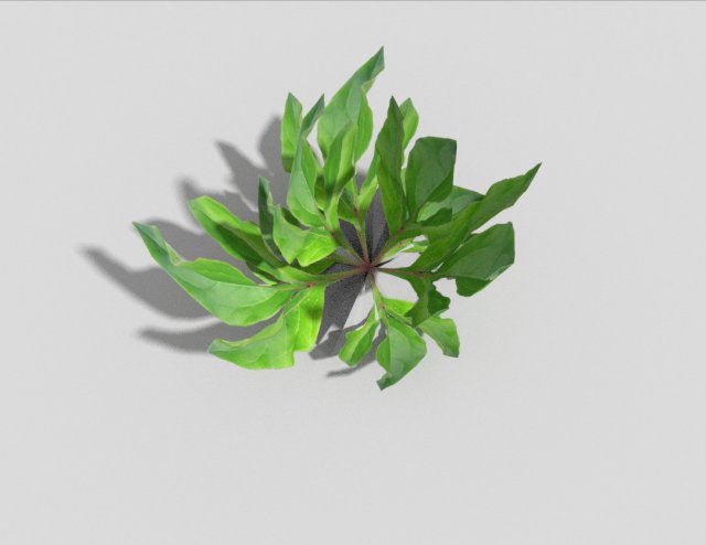 low poly plant Model 3D .c4d .max .obj .3ds .fbx .stl .blend 