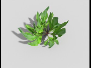 low poly plant Modèle 3D