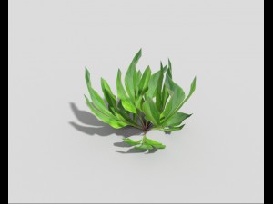 low poly plant Model 3D