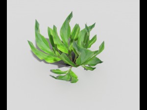 low poly plant Model 3D