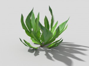 low poly plant Model 3D