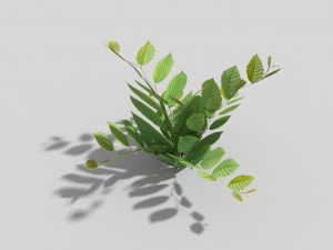 low poly plant 3D Model