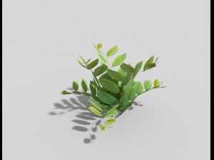 low poly plant 3D 模型
