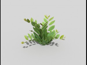 low poly plant 3D 模型