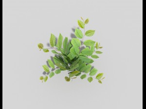 low poly plant 3D 模型