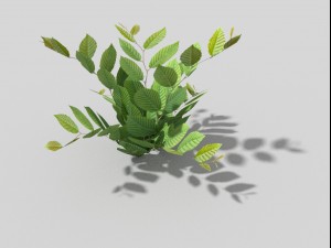 low poly plant 3D 模型