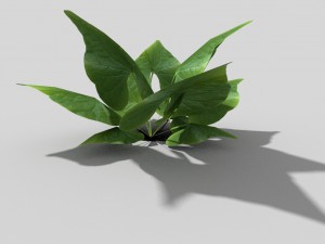 low poly plant Model 3D
