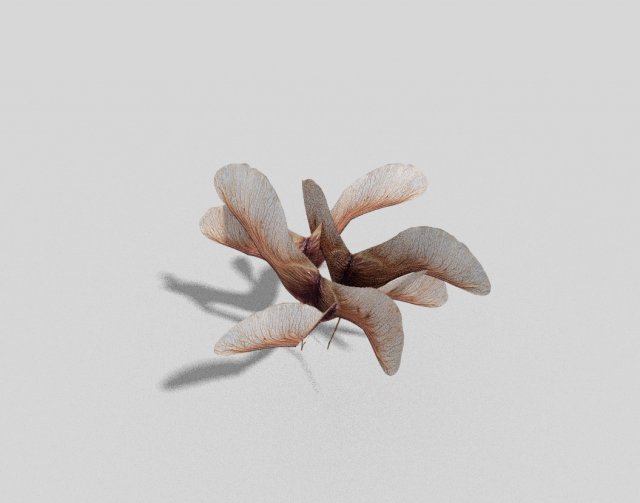 low poly plant 3Dモデル .c4d .max .obj .3ds .fbx .stl .blend 
