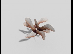 low poly plant Modelo 3D