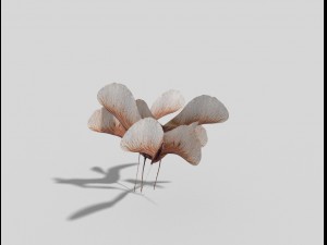 low poly plant 3Dモデル