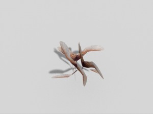 low poly plant 3Dモデル