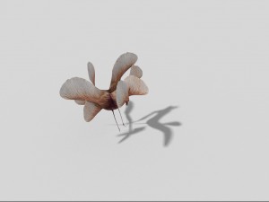 low poly plant 3Dモデル
