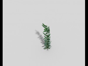 low poly plant 3D मॉडल