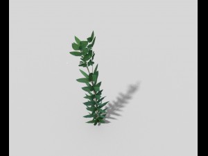 low poly plant 3D मॉडल