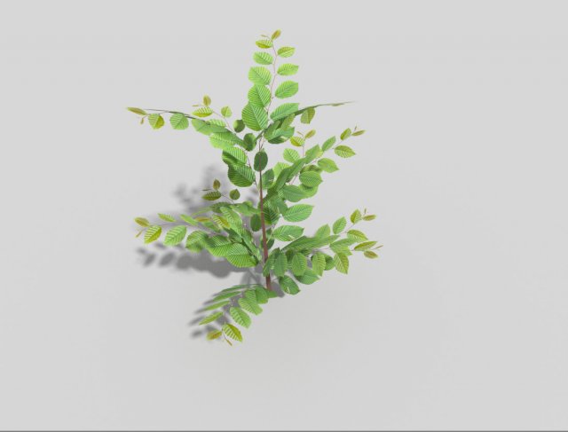 low poly bush 3Dモデル .c4d .max .obj .3ds .fbx .stl .blend 