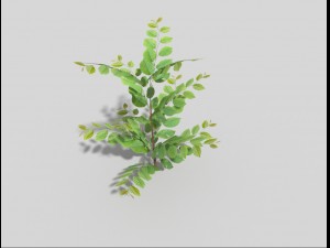 low poly bush Modèle 3D