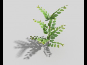 low poly bush 3Dモデル