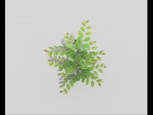 low poly bush 3Dモデル