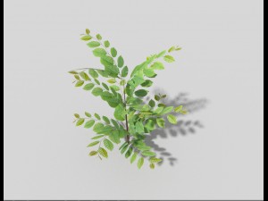 low poly bush 3Dモデル