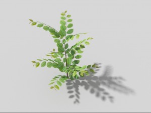 low poly bush 3Dモデル
