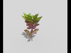 low poly plant Modèle 3D