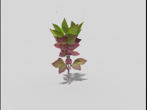 low poly plant Modello 3D