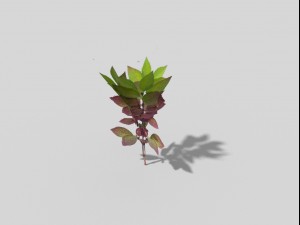 low poly plant Modello 3D