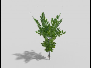 low poly bush Modèle 3D