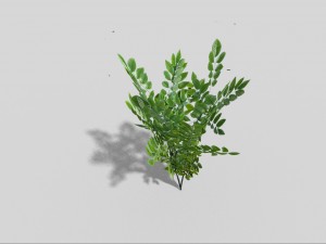 low poly bush 3D Модель
