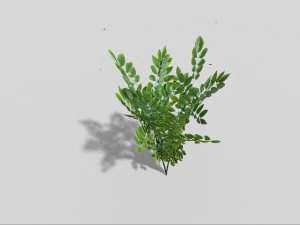 low poly bush 3D Model