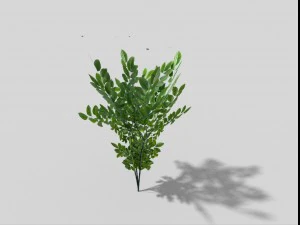 low poly bush 3D Model
