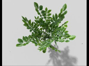 low poly bush 3D Model