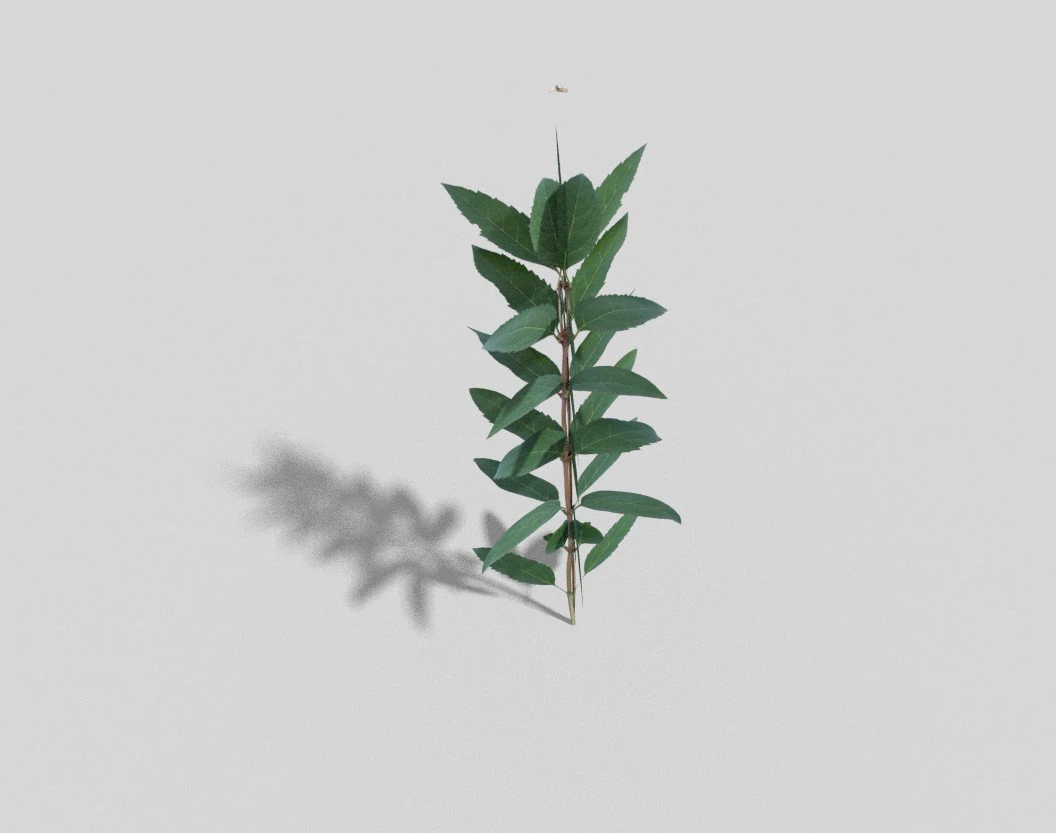 low poly flower 3D Model .c4d .max .obj .3ds .fbx .stl .blend 
