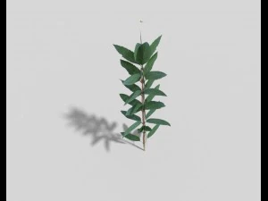 낮은 폴리 꽃 3D 모델