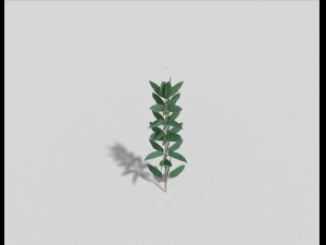 low poly flower 3D Model