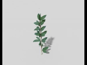 low poly flower 3D Model