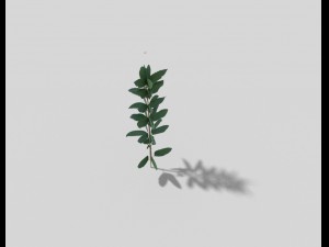 low poly flower 3D Model