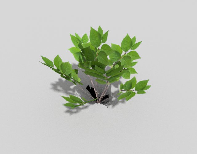 low poly plant Modelo 3D .c4d .max .obj .3ds .fbx .stl .blend 