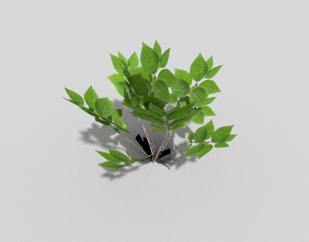 low poly plant 3D Model .c4d .max .obj .3ds .fbx .stl .blend 