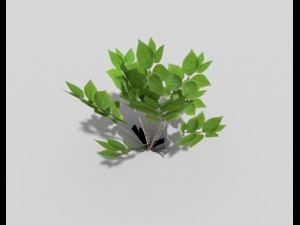 low poly plant Modèle 3D