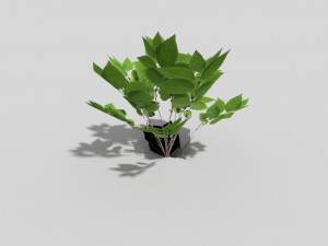 low poly plant Modelo 3D