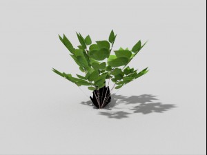 low poly plant Modelo 3D