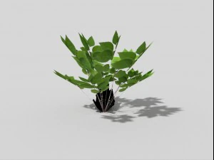 low poly plant 3D Model