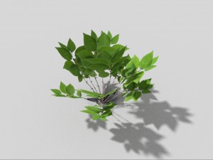 low poly plant Modelo 3D