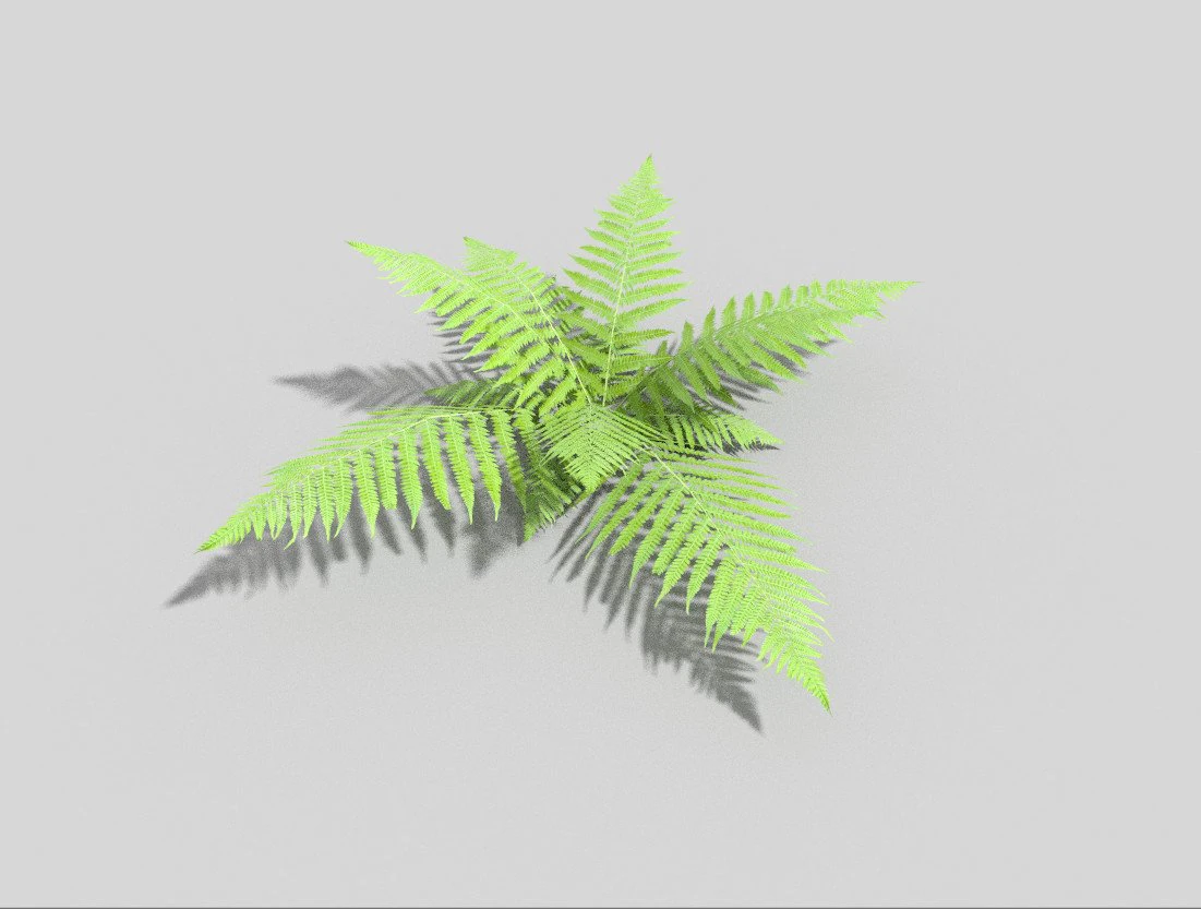 low poly fern 3D Model .c4d .max .obj .3ds .fbx .stl .blend 