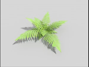 paproć niskopolimerowa Model 3D