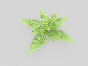 low poly fern 3D मॉडल