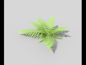 low poly fern 3D मॉडल